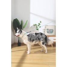 Str Store Gentle Dog Gezdirme Kayışı (Xs) Green