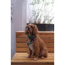 Str Store Hayvan Desenli Köpek Fuları Bandanası Köpek Kıyafeti Yeşil Xs
