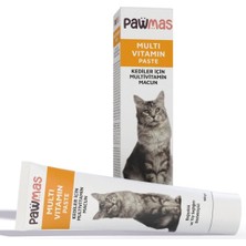 Str Store Multivitamin Kedi Macunu 100GR
