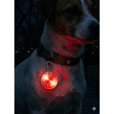 Str Store ® LED Köpek Tasma Işığı | Gece Görünürlük Güvenlik Işığı | Suya Dayanıklı Klipsli Pet Işık