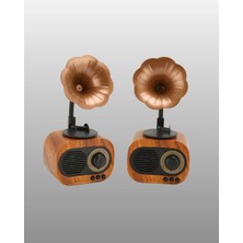 Ersert Taşınabilir Retro Hoparlör 5W Bluetooth Fm Radyo