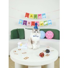 Str Store Party Tıme Erkek Kediler Için Doğum Günü Seti