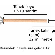 Str Store Doğal Ahşap Kuş Tüneği Doğal Ahşap Tünek Papağan Muhabbet Kuşu Kanarya Kafes Tüneği 1 Adet Boy 17-19 cm