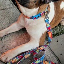 Str Store Design Köpek Gezdirme Kayışı – Geri Dönüştürülmüş, Kadifemsi Dokulu, Çift Kilitli Karabina Kanca, 360° Dönüşlü, Dayanıklı & Şık Tasarım, Mavi, Small