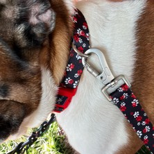 Str Store Design Köpek Gezdirme Kayışı – Geri Dönüştürülmüş, Kadifemsi Dokulu, Çift Kilitli Karabina Kanca, 360° Dönüşlü, Dayanıklı & Şık Tasarımı,kırmızı Pati,large