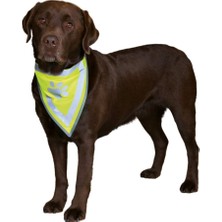 Str Store Köpek Bandanası Xs-S 22-28 Cm, Sarı