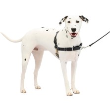 Str Store Easy Walk Köpek Koşum Takımı