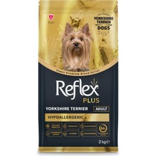Str Store Plus Yorkshire Terrier Yetişkin Köpek Mamasi 2 kg