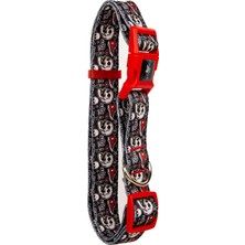 Str Store Köpek Boyun Tasması – Geri Dönüştürülmüş, Ayarlanabilir, Emniyet Tokalı – Küçük ve Büyük Irklar Için – Tüy Toplamaz, Yıkanabilir, Airtag & Isimlik Uyumlu, Boyun Tasması Skull Small