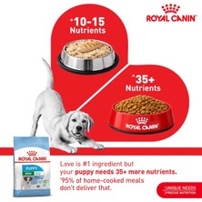 Str Store Mini Puppy Yavru Kuru Köpek Maması 4 kg