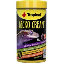 Str Store Gecko Cream Fig Incirli Gecko Yemi 100ML 50GR