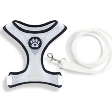 Str Store Air-Mesh Kumaş Tasma ve Tasma Kayışı (Beyaz, X-Small)