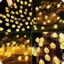 Ersert Fonksiyonel 50 LED Solar Işık Zinciri 7 Metre Bahçe