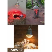 Ersert Ers- 150W Kızılötesi (Infrared) Isıtıcılı Hayvan Isıtma ve Kuluçka Lambası (Kırmızı Işık) E27 (Kalın Duy)