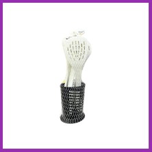 Salmore Carpe Servis Seti 6 Parça 180° Fileli Bty