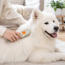 Relatos Buharlı Evcil Hayvan Temizleme Tarağı, Tek Tuş Spreyli Kedi Köpek Tarağı, Yumuşak Silikon Masaj Uçlu Tüy Toplayıcı, Su ve Bakım Esansı Hazneli Pratik Bakım