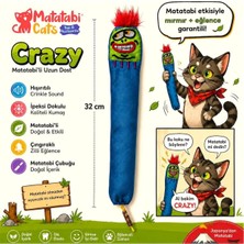 Relatos Crazy