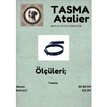 Relatos Orta Boy Köpek Tasması Mavi 50