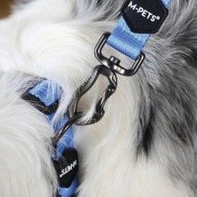 Universal Gentle Dog Boyun Tasması (S) Blue