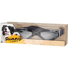 Universal Sunny Trailblazer Köpekler Için Gözlük Siyah