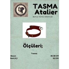 Universal Orta Boy Köpek Tasması Turuncu 50