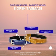 Universal Rainbow Xs Hakiki Deri Küçük Köpek Tasması – Xs Beden, Küçük ve Mini Köpekler Için Tasma, Yumuşak Iç Deri, Krom Kaplamalı Toka & D-Halka, 7 Farklı Renk Seçenekleri (Kırmızı)
