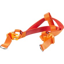 Universal Euro Dog Köpek Uzatma Tasması+Göğüs Tasması 25MM 120CM Turuncu