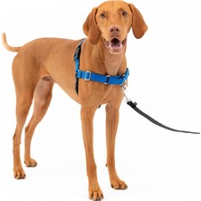 Universal Easy Walk Köpek Koşum Takımı.