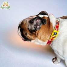 Universal Köpek Boyun Tasması – Geri Dönüştürülmüş, Ayarlanabilir, Emniyet Tokalı – Küçük ve Büyük Irklar Için – Tüy Toplamaz, Yıkanabilir, Airtag & Isimlik Uyumlu, Sarı, Large
