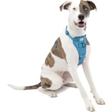Universal Köpek Koşum Takımı | Pet Walking Koşum Takımı | No Pull Koşum Ön Klips Fonksiyonu Antrenman Için | Araç Emniyet Kemeri | Tru-Fit Hızlı Kilit Tarzı | Orta | Mavi