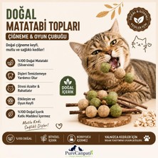 Universal Matatabi Toplu Kedi Oyuncağı – Doğal Çiğneme ve Oyun Çubuğu