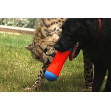Universal Tumble Bumper Suda Batmayan Köpek Oyuncağı (Orta Boy)