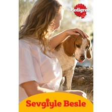 Universal Köpekler Adult Sığır ve Ciğer Karışımı(Jöleli) Konserve Yaş Mama 400 G