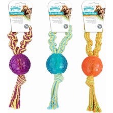 Str Store Toplu Diş Ipi Köpek Oyuncağı 30 cm