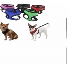 Nida Kedi ve Köpek Göğüs Tasma Gezdirme (Rengine Renk Uzatma Hediyeli) 6’lı Set Nıda