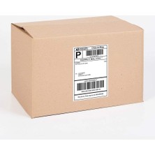 Happy Trend Etiketi TW-2070 40X20 mm 100 Lü Lazer Etiket 1 Paket Tanex Davetiye Kargo Koli Kutu Etiketi