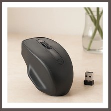 Ecotrend Kablosuz Optik Mouse 1600 Dpı USB Alıcılı Aa Pil ECO123