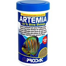 Artemia ml 100