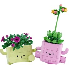 sbodurhome Botanicals Sallanan Bitkiler 11506