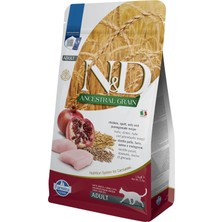 Str Store Ancestral Grain Kedi Tavuk, Kılçıksız Buğday, Yulaf & Nar Yetişkin 1.5 kg