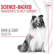 Str Store Skin&coat Chews Yetişkin Köpekler Için Deri ve Tüy Sağlığını Destekleyen Tamamlayıcı Ödül Maması 240G