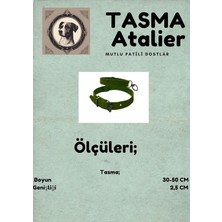 Str Store Orta Boy Köpek Tasması Yeşil 50