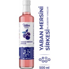 Havran Kocaseyit Doğal Antioksidan Yaban Mersini Sirkesi 500 ml