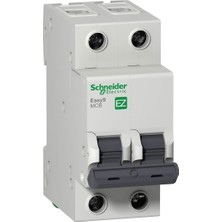 Die Grup Tr Schneıder Easy9 Mcb EZ9F43225 25A Sigorta (2p, 3ka, C Eğrisi)