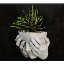 Die Grup Tr Zarif Kadın Figürlü Duvar Saksısı - Minimalist Dekoratif Sukulent ve Çiçeklik, Modern Duvar Dekoru, Antrasit/beyaz (Opsiyonel Renk), Askılı Estetik Saksı (Beyaz)