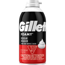 Die Grup Tr Regular Tıraş Köpüğü 311GR