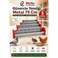 Die Grup Tr 75 cm Galvaniz Metal Kanatlı Yemliği, Güvercin Tavuk Bıldırcın ve Keklik Için Uzun Yemlik 5 Adet
