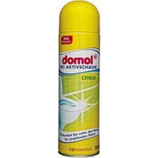Die Grup Tr Tuvalet Temizleme Köpüğü, Sitrus, 500ML