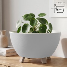 Die Grup Tr Sora Saksı Süzgeçli Ayaklı Delikli Plastik Aranjman Sukulent Saksısı (Krem, 6.3 Litre)
