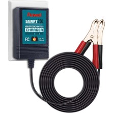 Die Grup Tr Akıllı Şarj Cihazı 12 V 750 Ma Tam Otomatik Akü Şarj Cihazı/araba, Motosiklet, Atv, Utv Için Bakım Cihazı